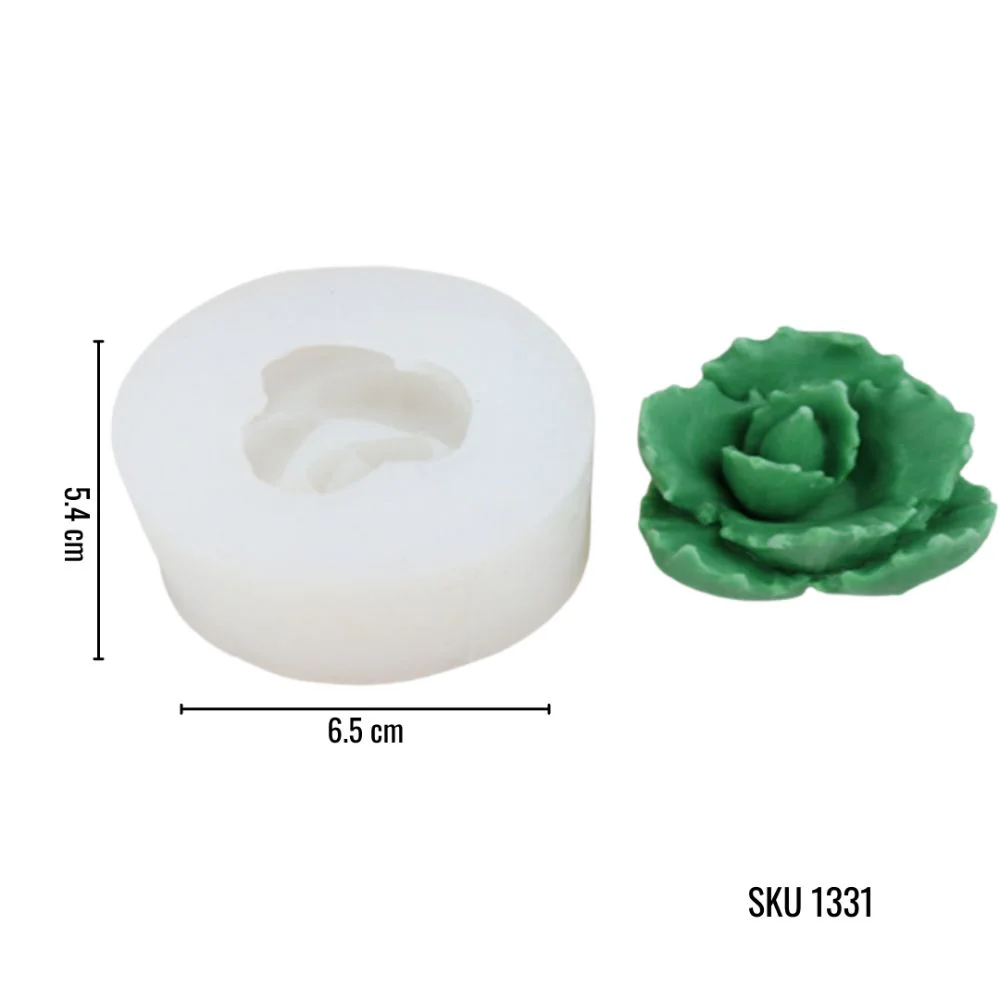 Colección Suculentas - Imagen 9