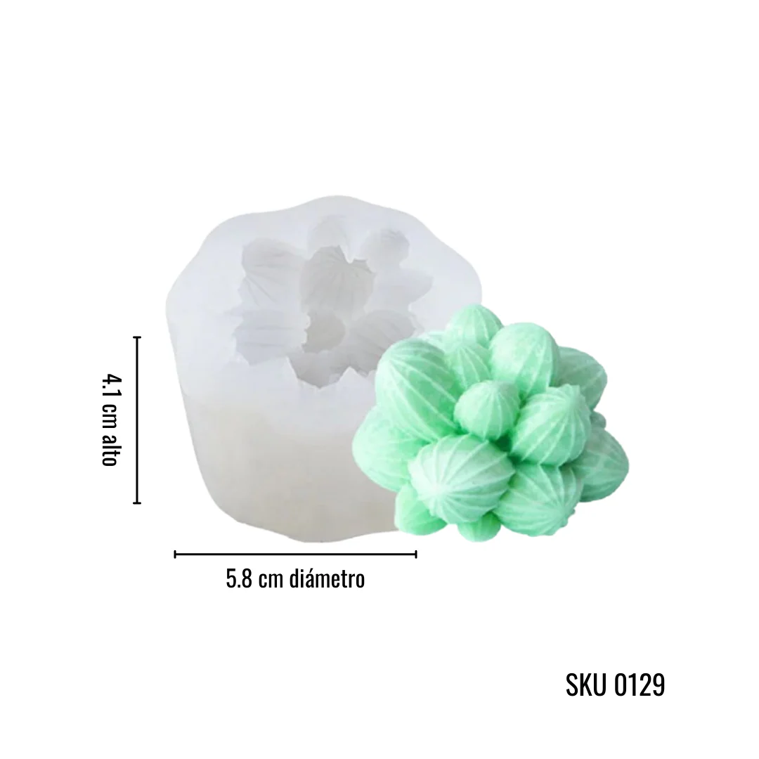 Colección Suculentas - Imagen 7