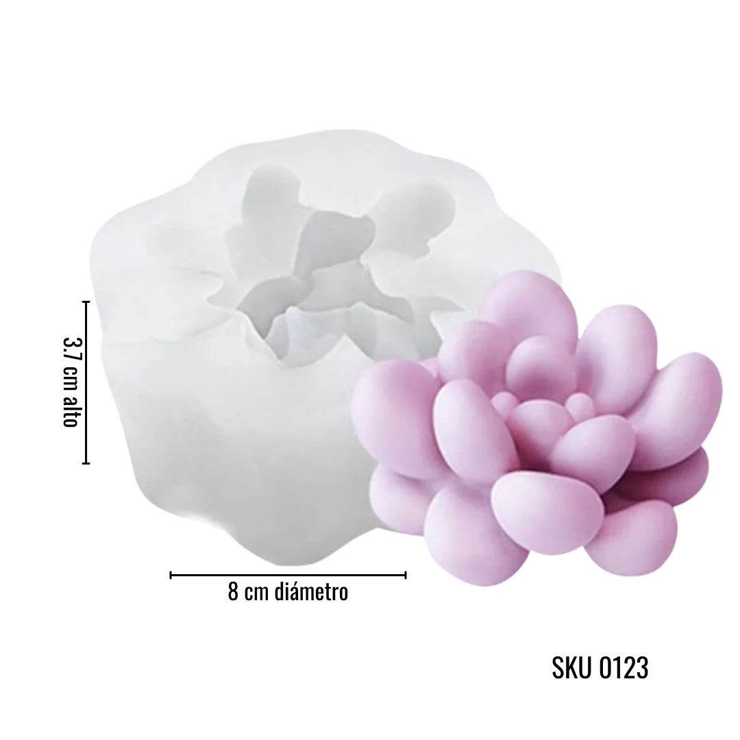 Colección Suculentas - Imagen 2