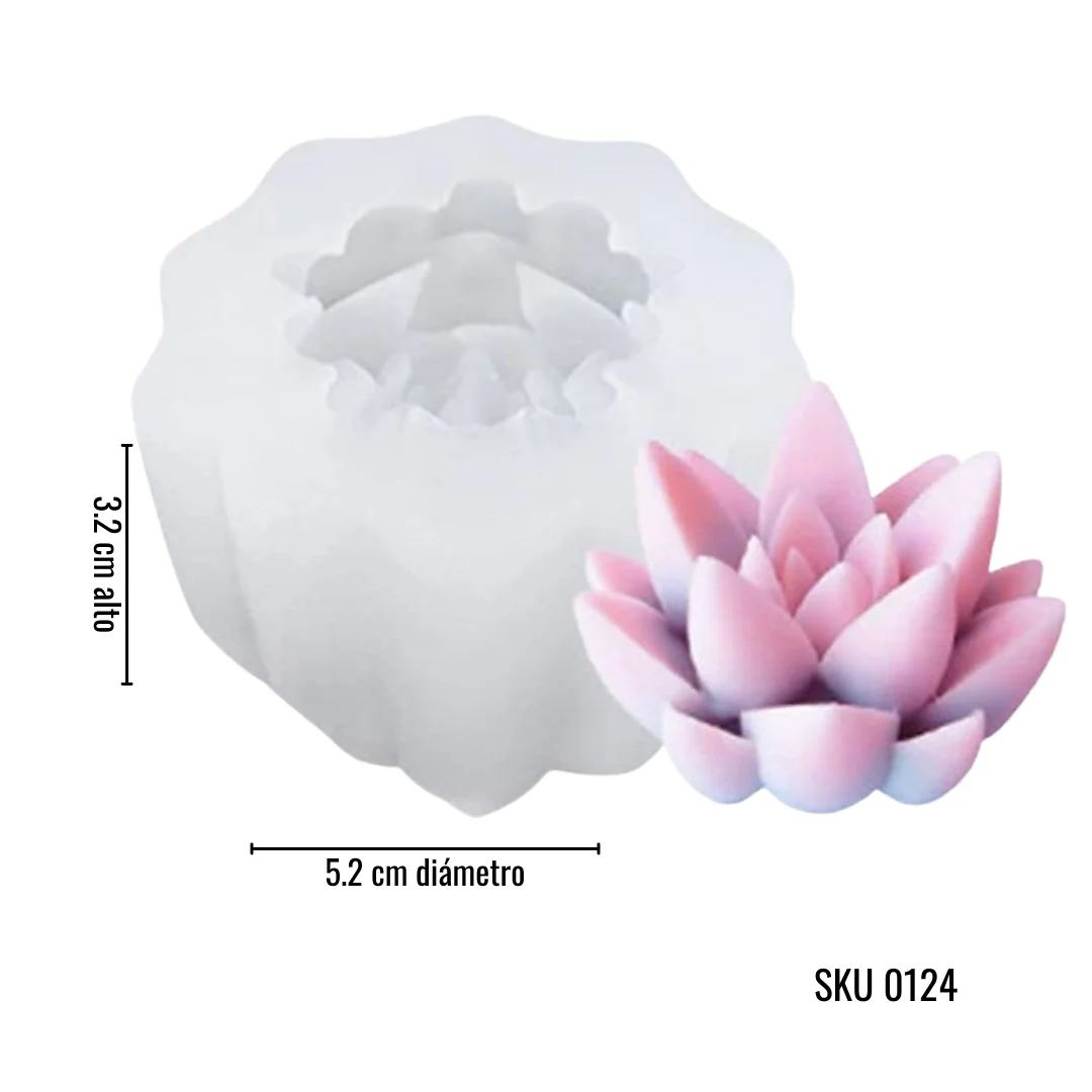 Colección Suculentas - Imagen 3