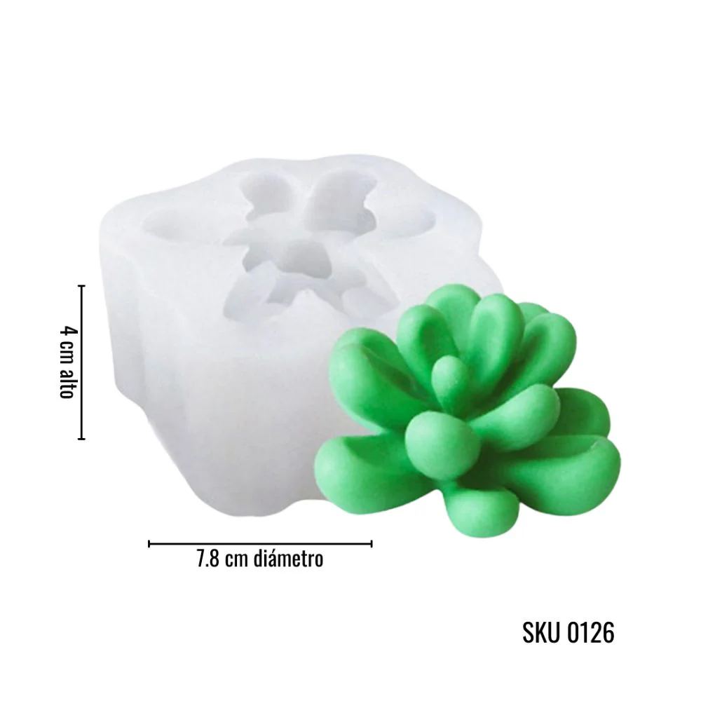 Colección Suculentas - Imagen 5