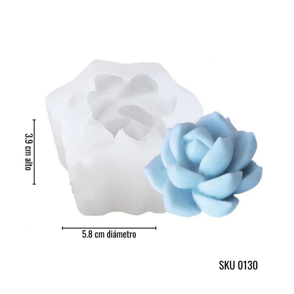 Colección Suculentas - Imagen 8