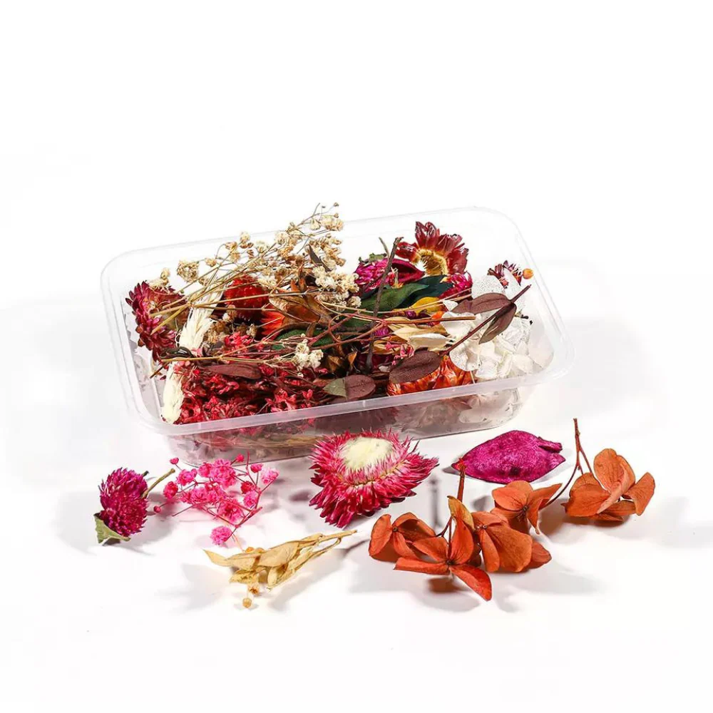 Naturaleza Deshidratada para Manualidades