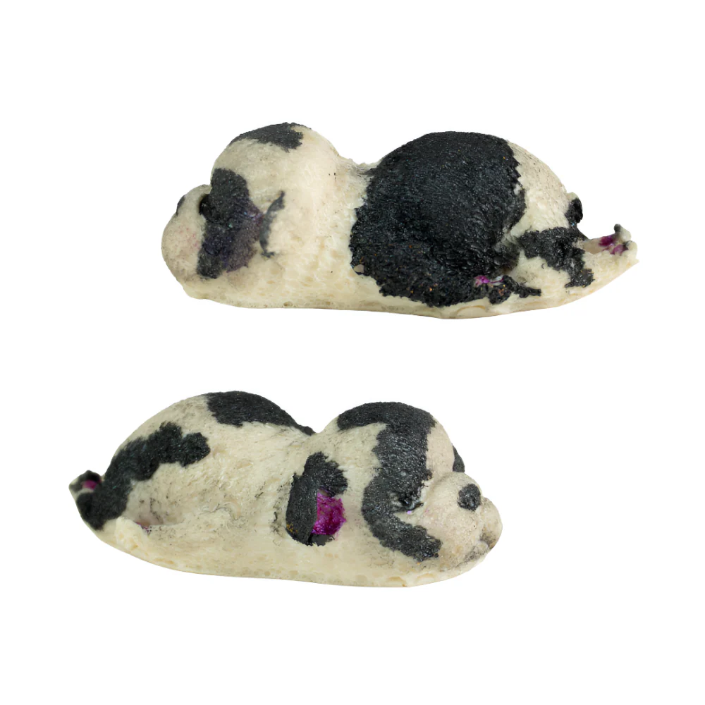 Molde Mini Perrito Mimidito 3D - Imagen 3