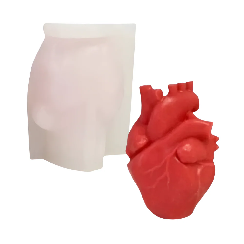 Molde Corazón Humano 3D Molde de Silicón